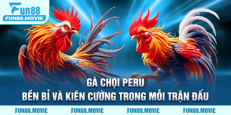 Gà Chọi Peru - Bền Bỉ Và Kiên Cường Trong Mỗi Trận Đấu