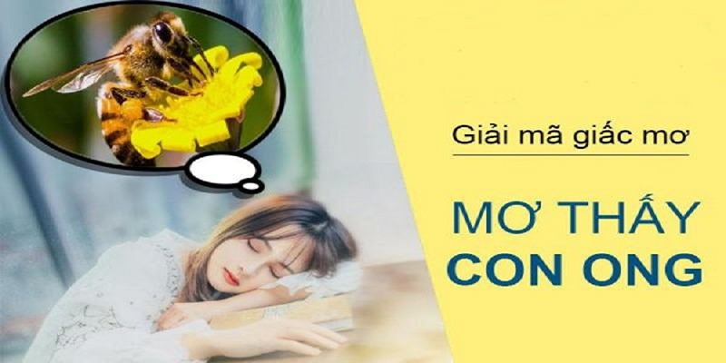 Luận giải chi tiết các giấc mơ thấy ong vàng