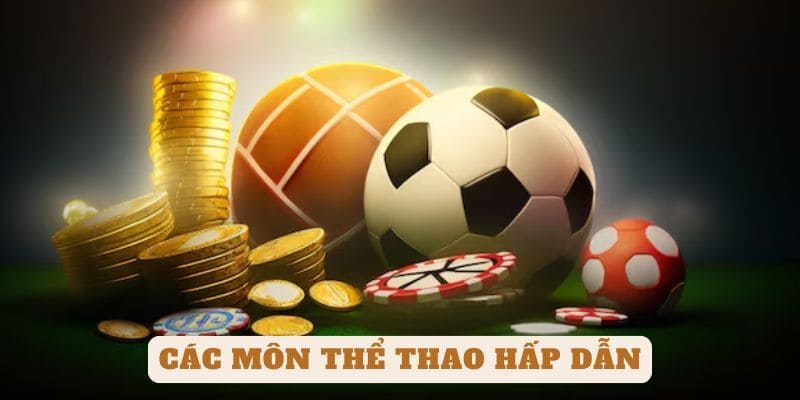 Những môn thể thao IM hot mà bạn nên biết đến